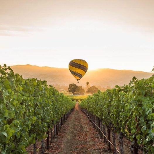 Weekend in Wine Country VI